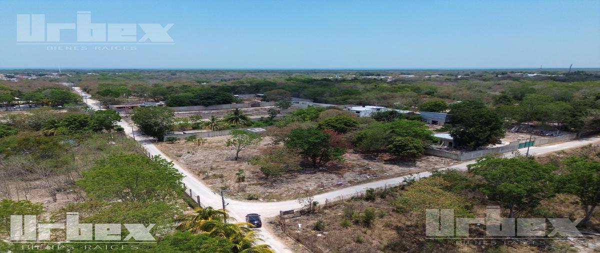 Foto de terreno habitacional en venta en  , imi, campeche, campeche, 0 No. 04
