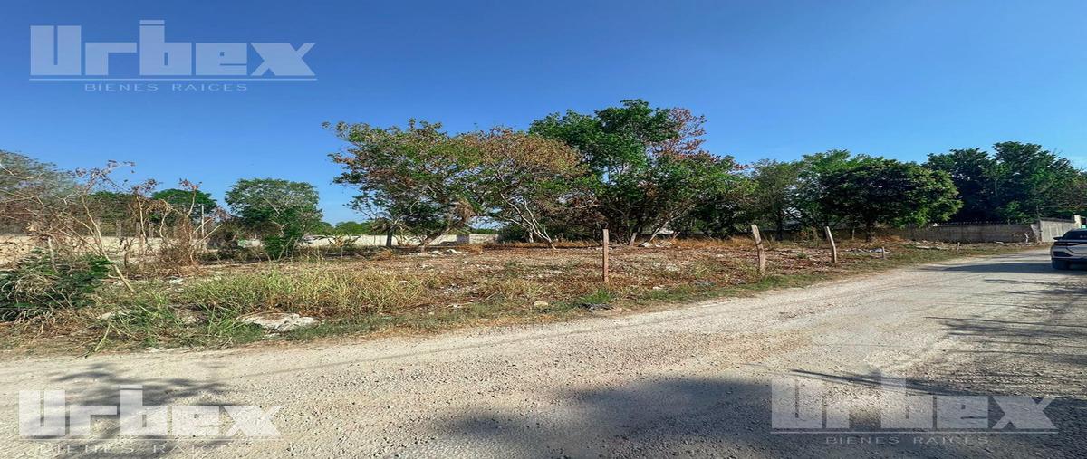 Foto de terreno habitacional en venta en  , imi, campeche, campeche, 0 No. 05
