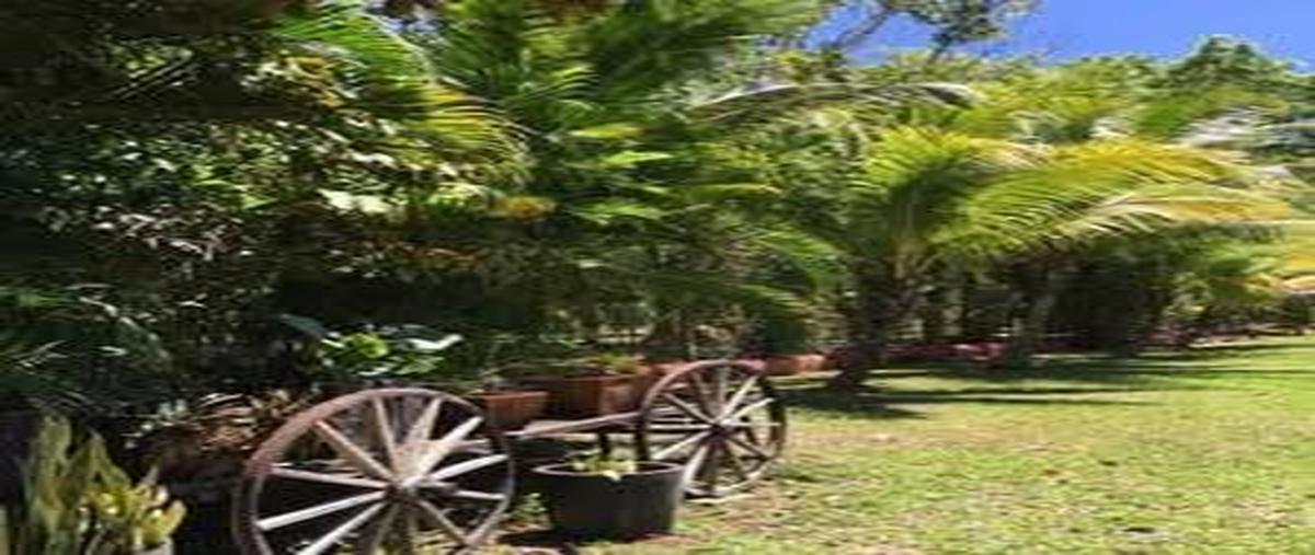 Foto de terreno habitacional en venta en  , imi, campeche, campeche, 0 No. 04