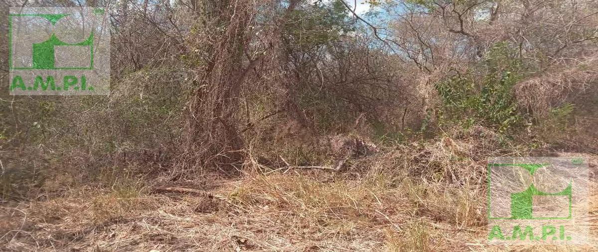 Foto de terreno habitacional en venta en  , imi, campeche, campeche, 31090676 No. 03