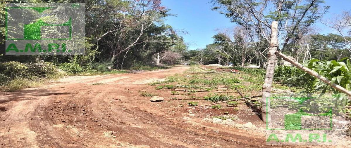 Foto de terreno habitacional en venta en  , imi, campeche, campeche, 31090676 No. 04