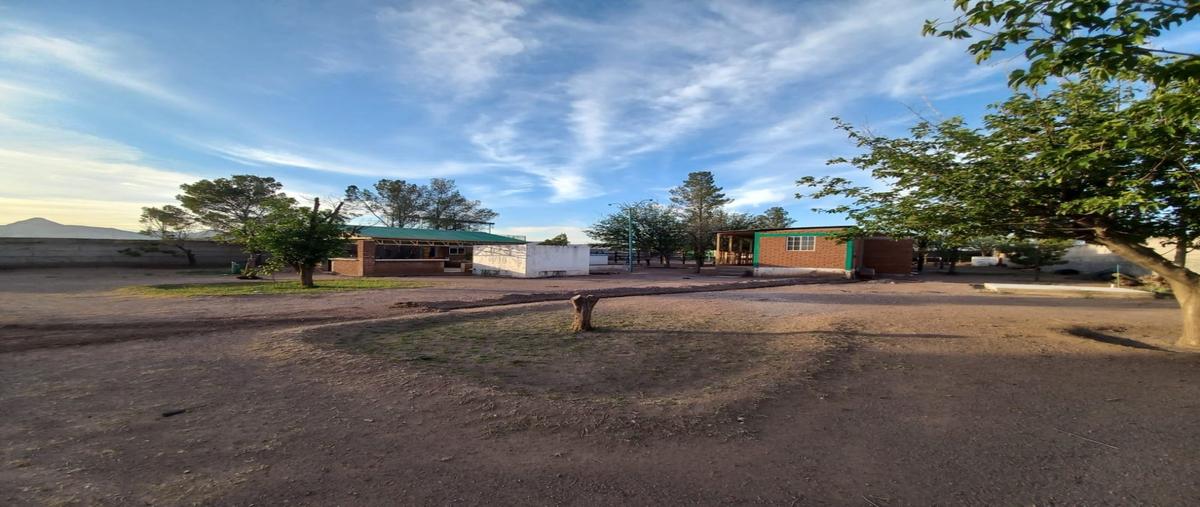 Foto de rancho en , imperial, chihuahua, chihuahua, 0 foto 05 Foto de rancho en venta en , imperial, chihuahua, chihuahua, 0 No. 05