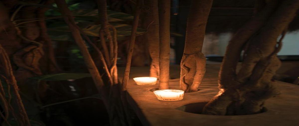 Foto de local en increíble ubicación en el centro , tulum centro, tulum, quintana roo, 0 foto 04 Foto de local en renta en increíble ubicación en el centro , tulum centro, tulum, quintana roo, 0 No. 04