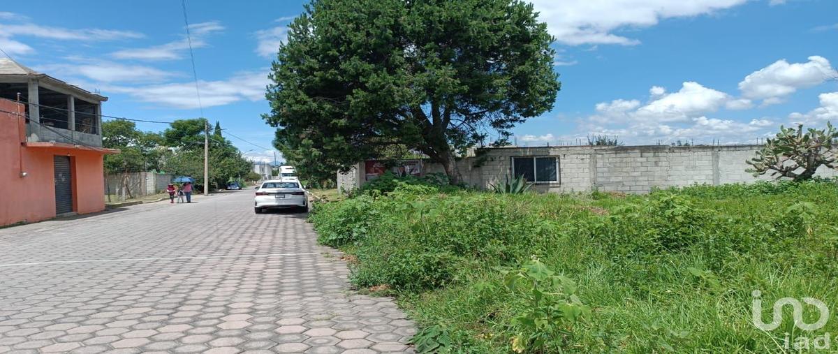 Foto de terreno habitacional en venta en independencia 104, chimalpa, santa isabel xiloxoxtla, tlaxcala, 28871624 No. 03