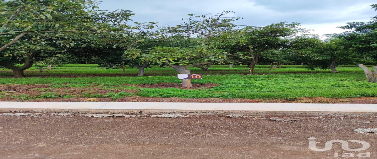 Foto de terreno habitacional en venta en independencia 194, chiquilistlan, chiquilistlán, jalisco, 31139058 No. 03