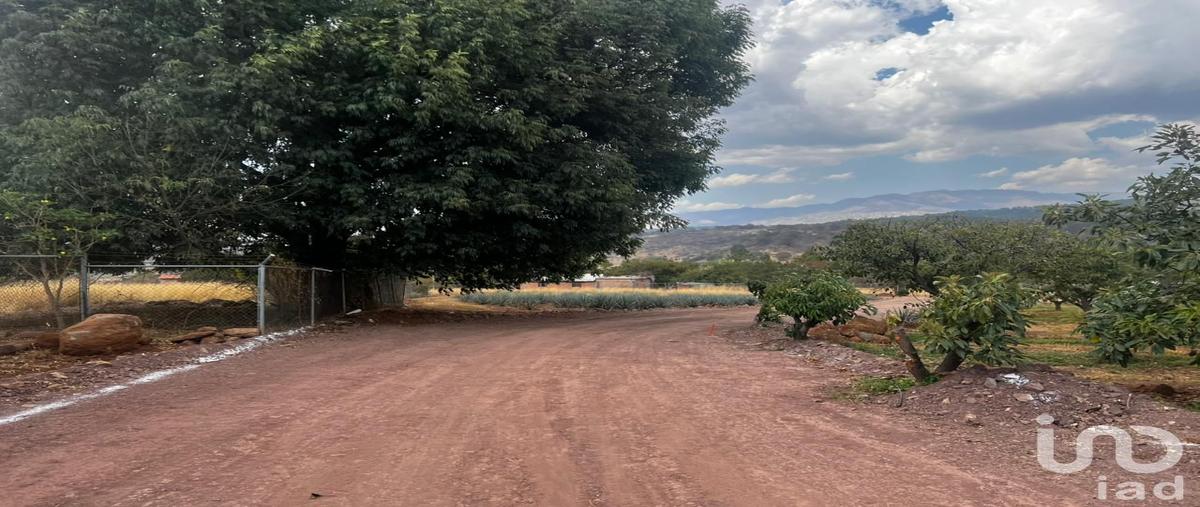 Foto de terreno habitacional en venta en independencia 194, chiquilistlan, chiquilistlán, jalisco, 31355688 No. 04
