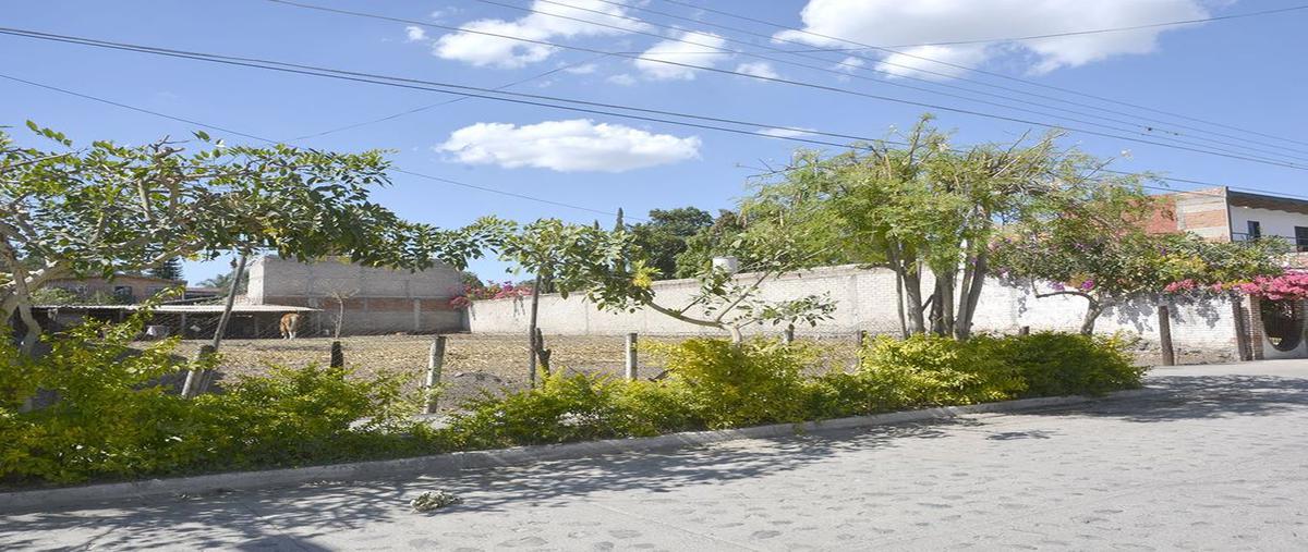 Foto de terreno habitacional en independencia , acatlán de juárez centro, acatlán de juárez, jalisco, 25749553 foto 02 Foto de terreno habitacional en renta en independencia , acatlán de juárez centro, acatlán de juárez, jalisco, 25749553 No. 02