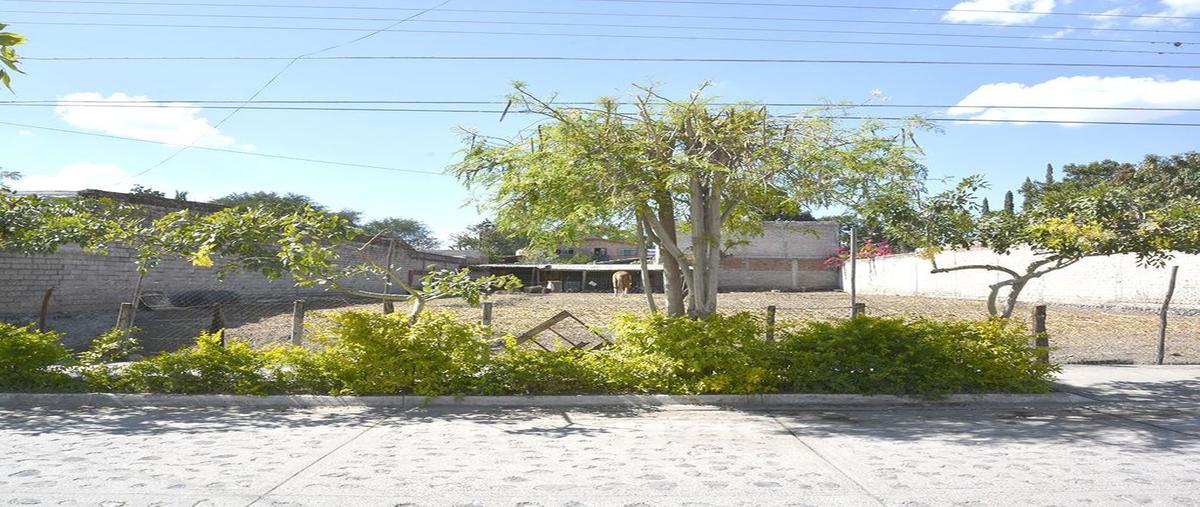 Foto de terreno habitacional en independencia , acatlán de juárez centro, acatlán de juárez, jalisco, 25749553 foto 03 Foto de terreno habitacional en renta en independencia , acatlán de juárez centro, acatlán de juárez, jalisco, 25749553 No. 03