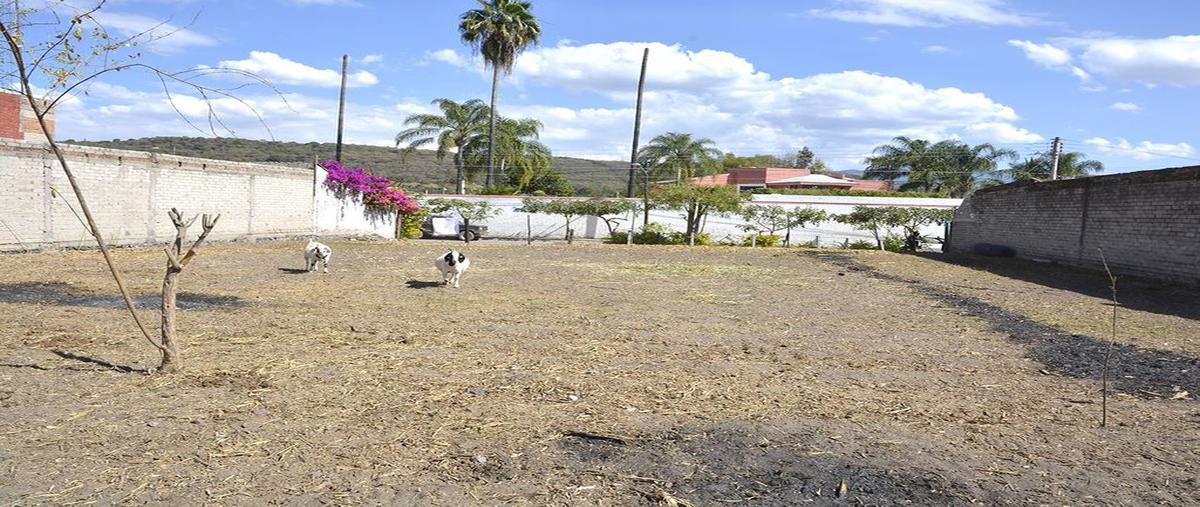 Foto de terreno habitacional en independencia , acatlán de juárez centro, acatlán de juárez, jalisco, 25749553 foto 05 Foto de terreno habitacional en renta en independencia , acatlán de juárez centro, acatlán de juárez, jalisco, 25749553 No. 05