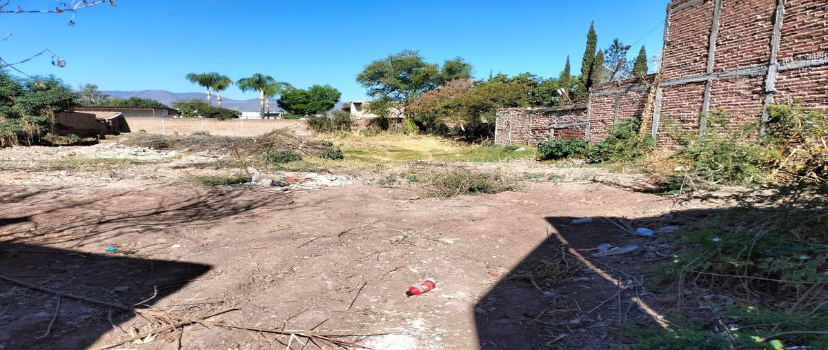 Foto de terreno habitacional en venta en independencia , ahualulco de mercado centro, ahualulco de mercado, jalisco, 27674827 No. 03