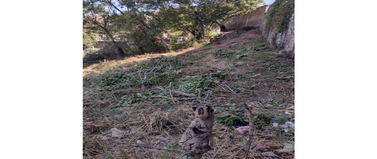 Foto de terreno habitacional en venta en  , independencia, jiutepec, morelos, 0 No. 03
