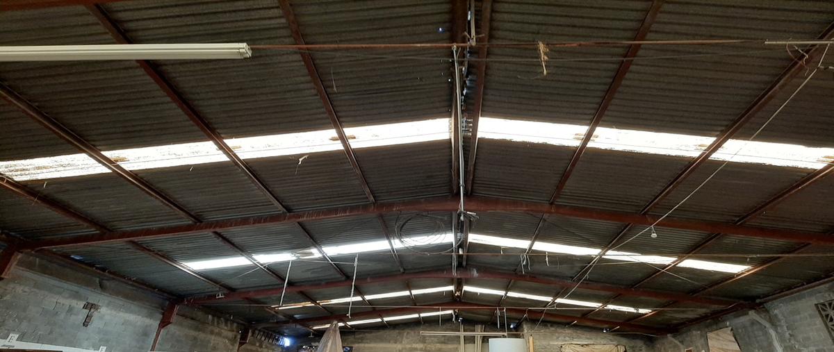 Foto de bodega en renta en  , independencia, monterrey, nuevo león, 31001626 No. 03