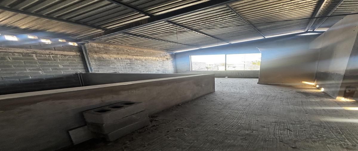 Foto de bodega en renta en  , independencia, monterrey, nuevo león, 0 No. 03