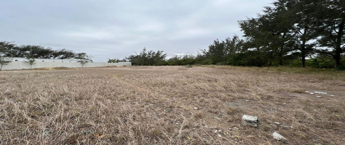 Foto de terreno habitacional en venta en  , independencia, tampico, tamaulipas, 0 No. 03