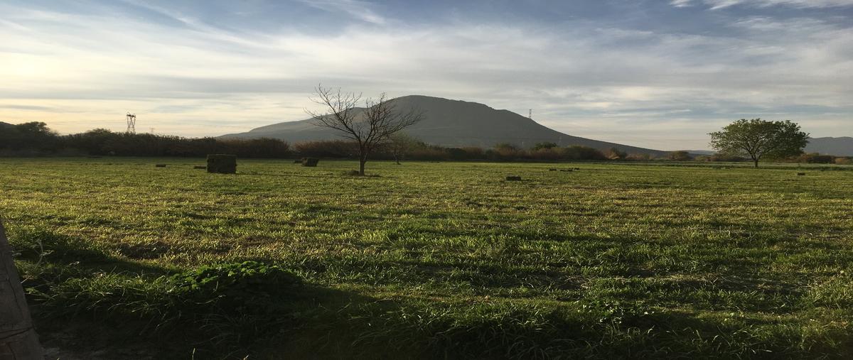 Foto de terreno habitacional en venta en  , industrial 360 2da etapa, ramos arizpe, coahuila de zaragoza, 27074227 No. 05