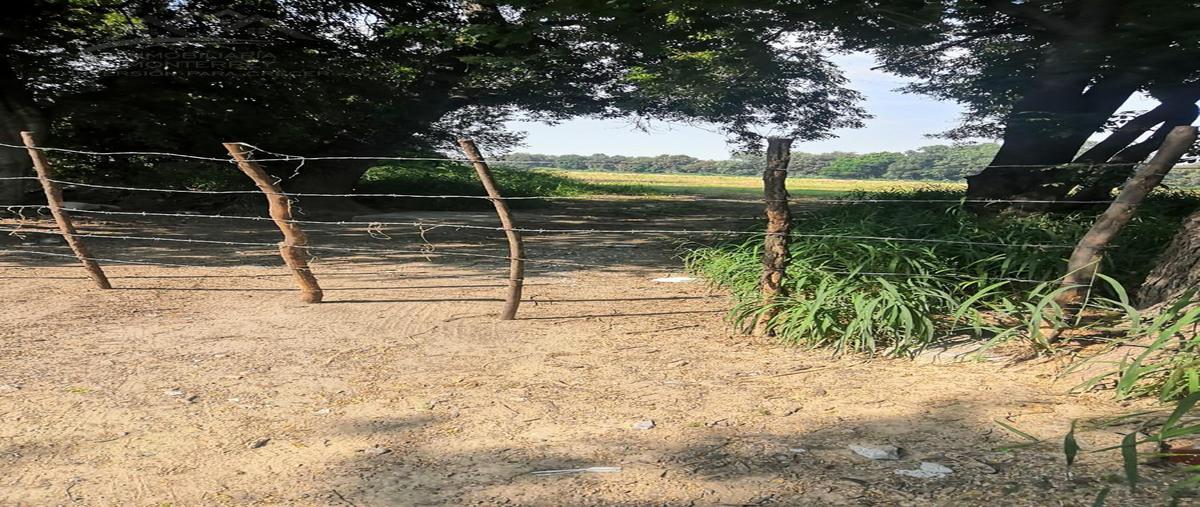 Foto de terreno habitacional en venta en  , industrial apodaca, apodaca, nuevo león, 27525828 No. 05