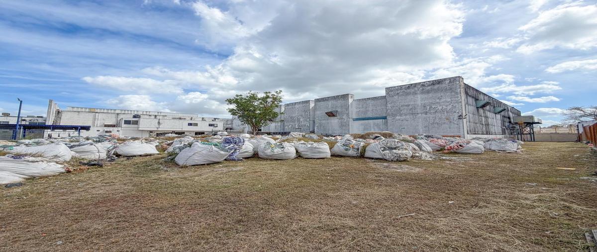 Foto de bodega en renta en  , industrial bridec, mérida, yucatán, 31501907 No. 03