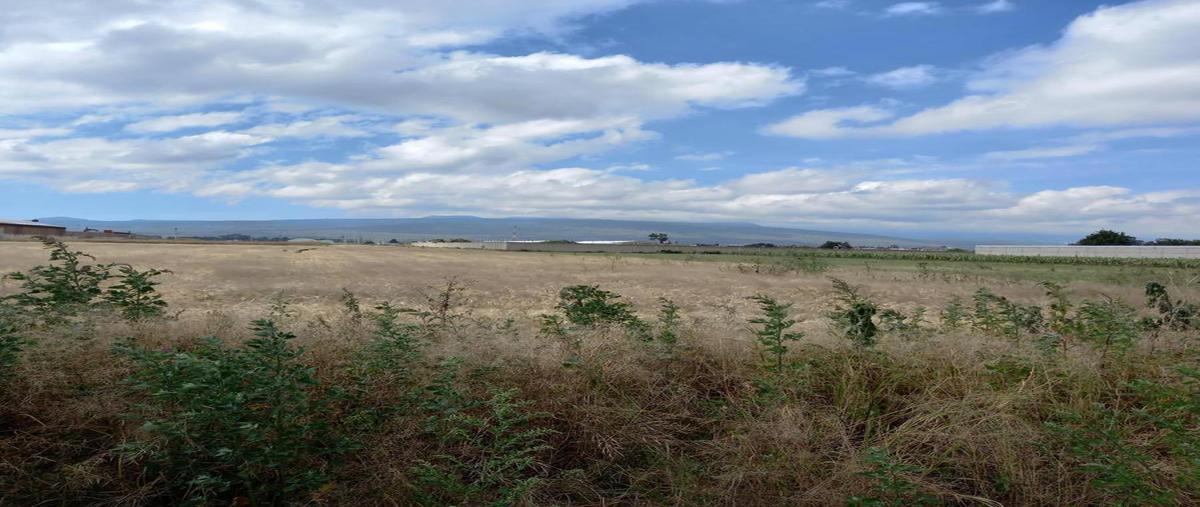 Foto de terreno industrial en venta en  , industrial chalco, chalco, méxico, 28103003 No. 05