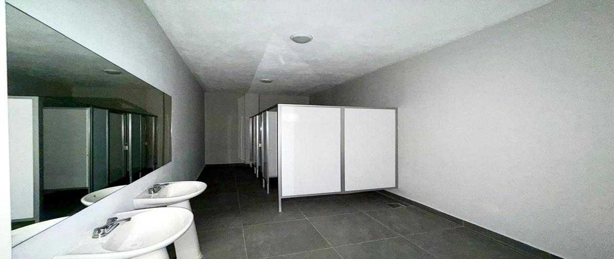 Foto de bodega en renta en  , industrial ligne, santa catarina, nuevo león, 30775492 No. 04