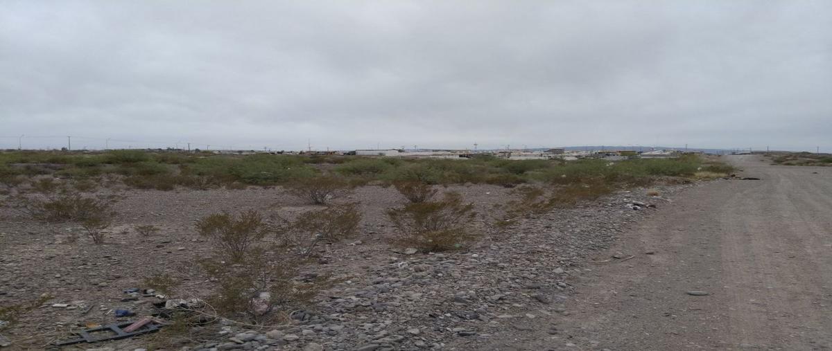 Foto de terreno habitacional en venta en  , industrial, ojinaga, chihuahua, 18274032 No. 03