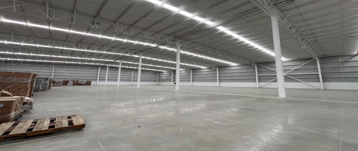 Foto de bodega en renta en  , industrial pacífico iv, tijuana, baja california, 29874969 No. 05