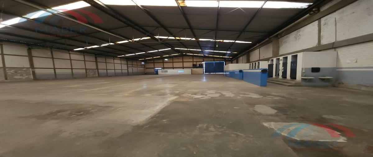 Foto de nave industrial en renta en  , industrial resurrección, puebla, puebla, 28148123 No. 05