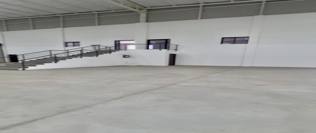 Foto de bodega en , industrial santa catarina, santa catarina, nuevo león, 30391323 foto 01 Foto de bodega en renta en , industrial santa catarina, santa catarina, nuevo león, 30391323 No. 01