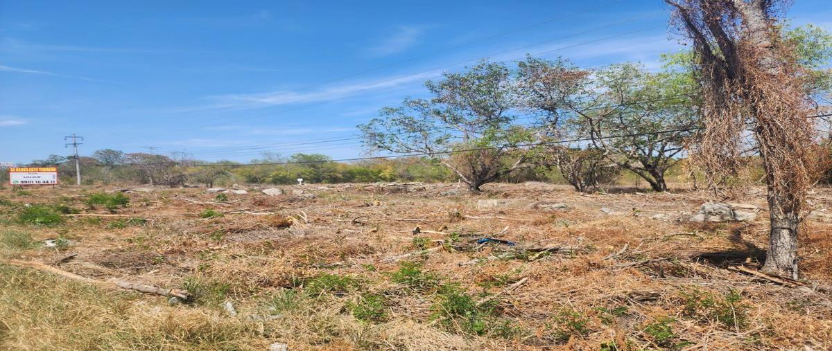 Foto de terreno habitacional en renta en  , industrias no contaminantes, mérida, yucatán, 28042515 No. 03