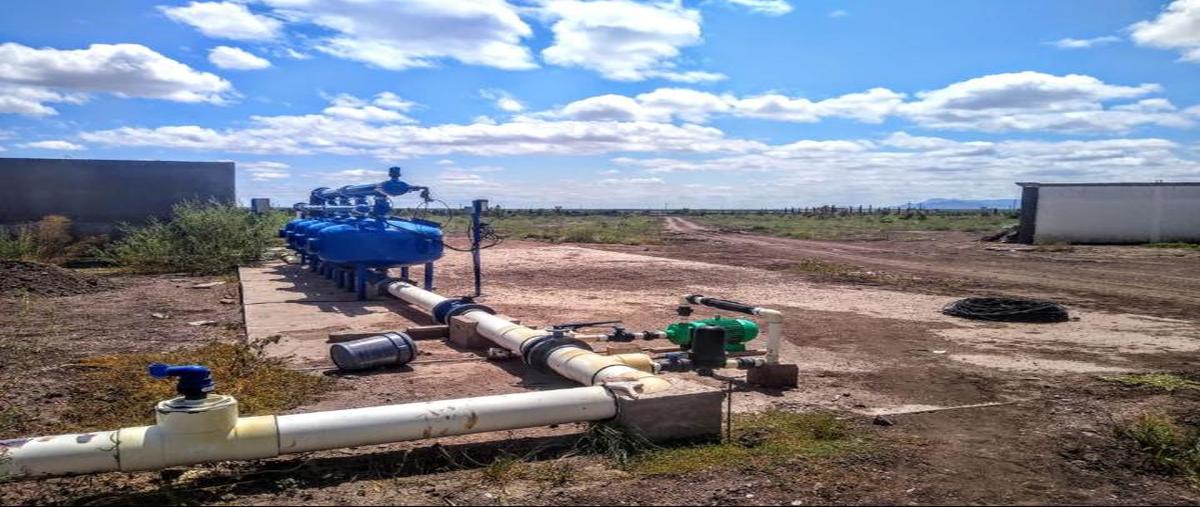 Foto de rancho en , infonavit delicias sur, delicias, chihuahua, 27246367 foto 05 Foto de rancho en venta en , infonavit delicias sur, delicias, chihuahua, 27246367 No. 05