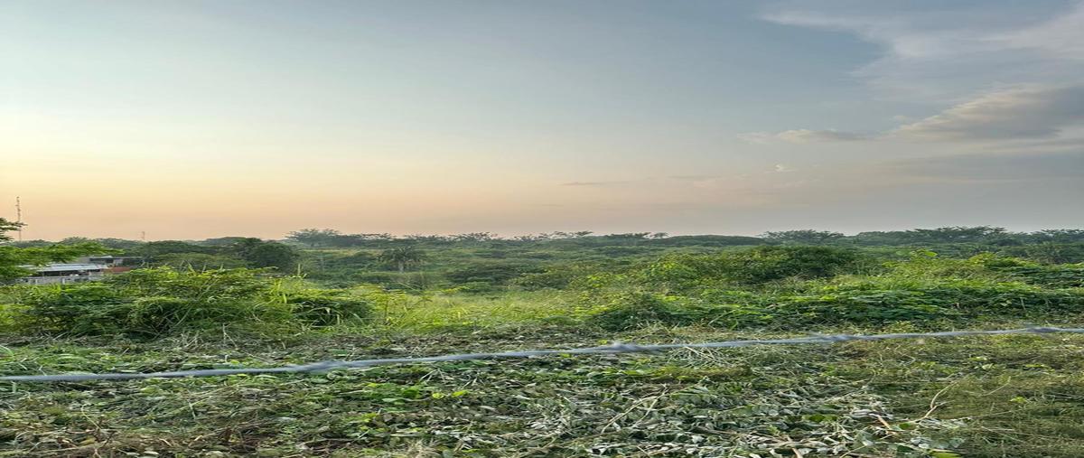 Foto de terreno habitacional en venta en  , infonavit el paraíso, san juan bautista tuxtepec, oaxaca, 30331513 No. 05