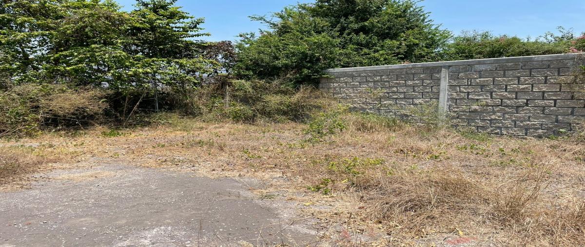Foto de terreno habitacional en venta en  , infonavit las huertas, tecomán, colima, 0 No. 05