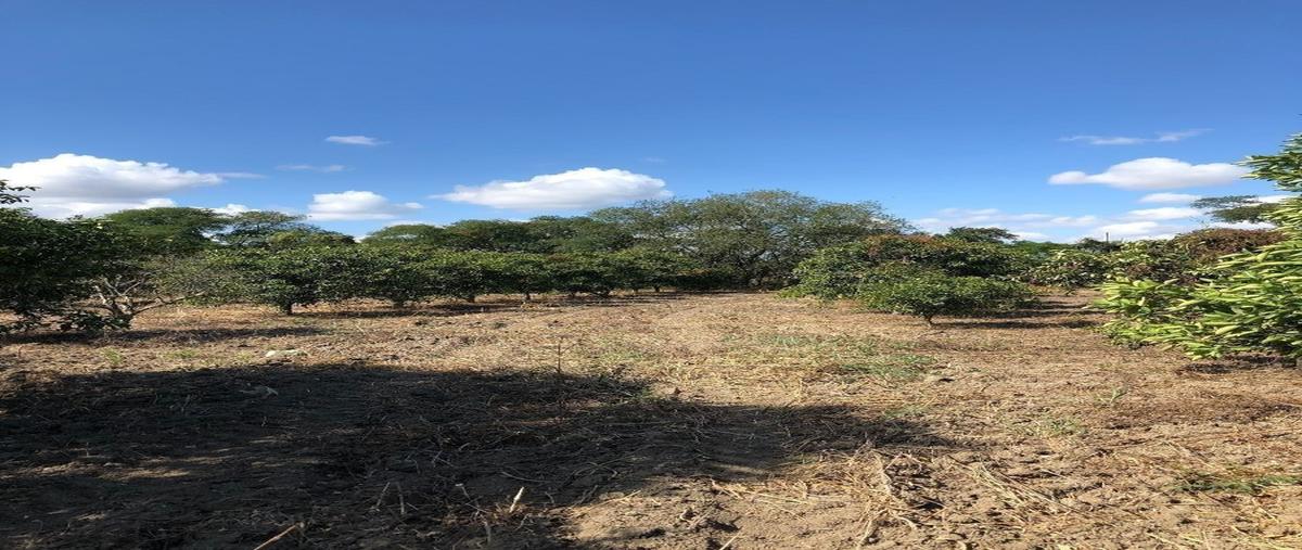 Foto de terreno habitacional en , infonavit río verde, linares, nuevo león, 27682390 foto 01 Foto de terreno habitacional en venta en , infonavit río verde, linares, nuevo león, 27682390 No. 01