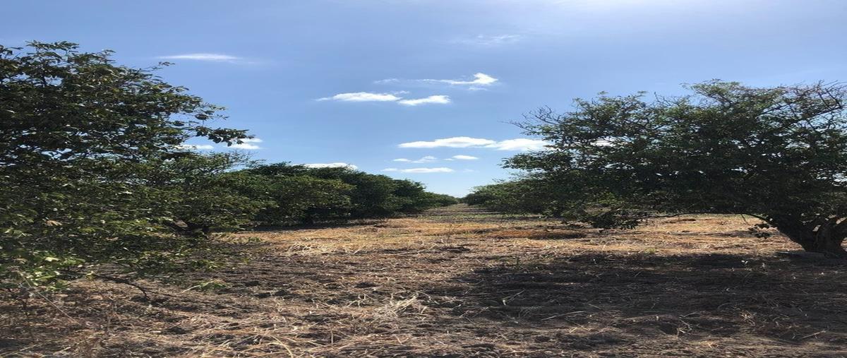 Foto de terreno habitacional en , infonavit río verde, linares, nuevo león, 27682390 foto 02 Foto de terreno habitacional en venta en , infonavit río verde, linares, nuevo león, 27682390 No. 02