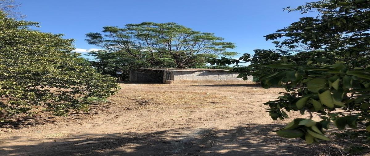 Foto de terreno habitacional en , infonavit río verde, linares, nuevo león, 27682390 foto 04 Foto de terreno habitacional en venta en , infonavit río verde, linares, nuevo león, 27682390 No. 04