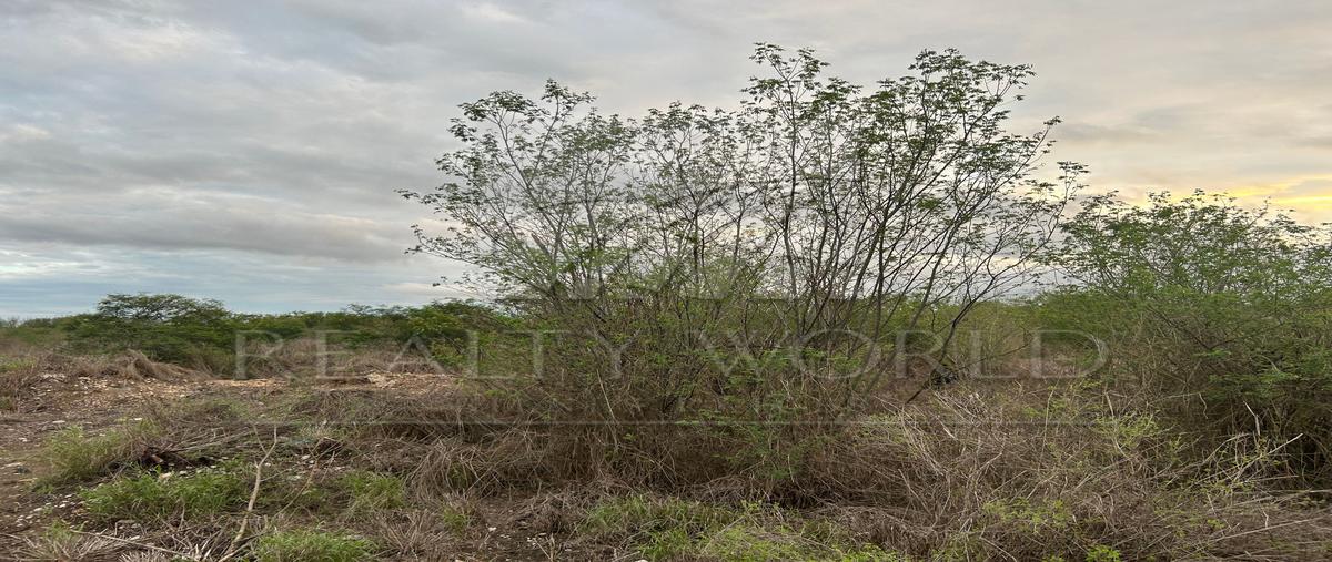 Foto de terreno habitacional en , infonavit rodrigo gómez, linares, nuevo león, 27508309 foto 01 Foto de terreno habitacional en venta en , infonavit rodrigo gómez, linares, nuevo león, 27508309 No. 01