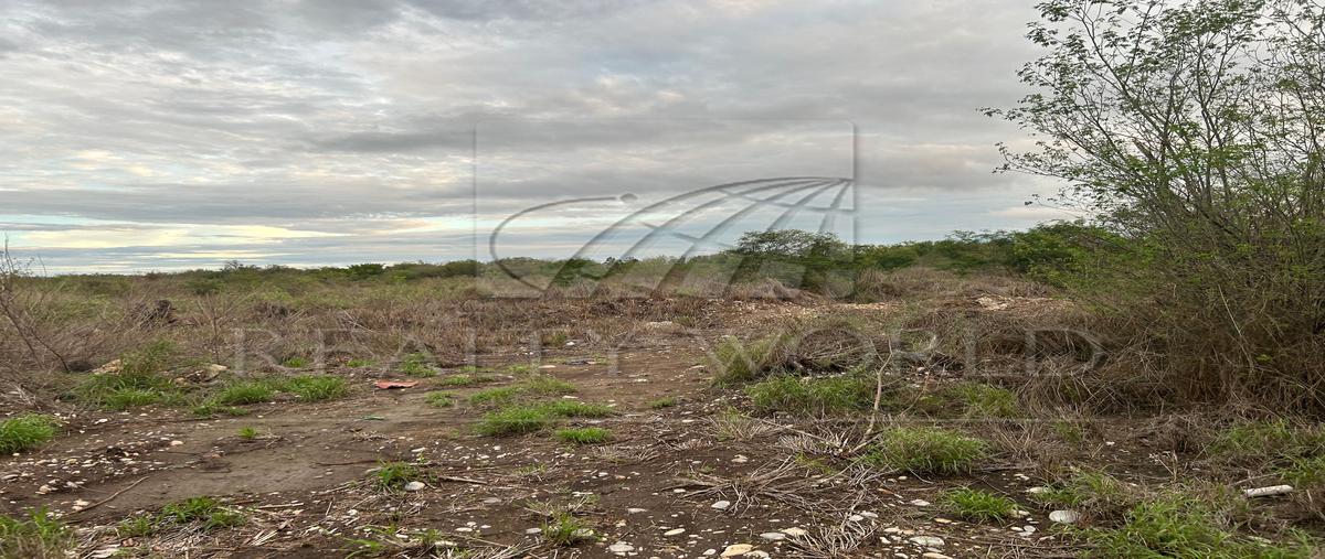 Foto de terreno habitacional en , infonavit rodrigo gómez, linares, nuevo león, 27508309 foto 03 Foto de terreno habitacional en venta en , infonavit rodrigo gómez, linares, nuevo león, 27508309 No. 03