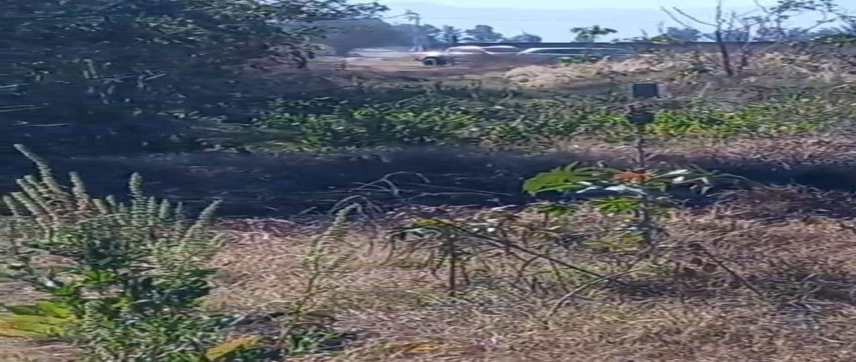 Foto de terreno industrial en venta en  , ingenio, tala, jalisco, 27116053 No. 04