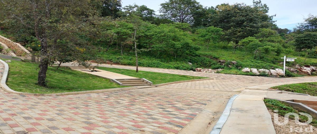 Foto de terreno habitacional en venta en innominada 105, zacualpan de ecatepec, san cristóbal de las casas, chiapas, 28722273 No. 05
