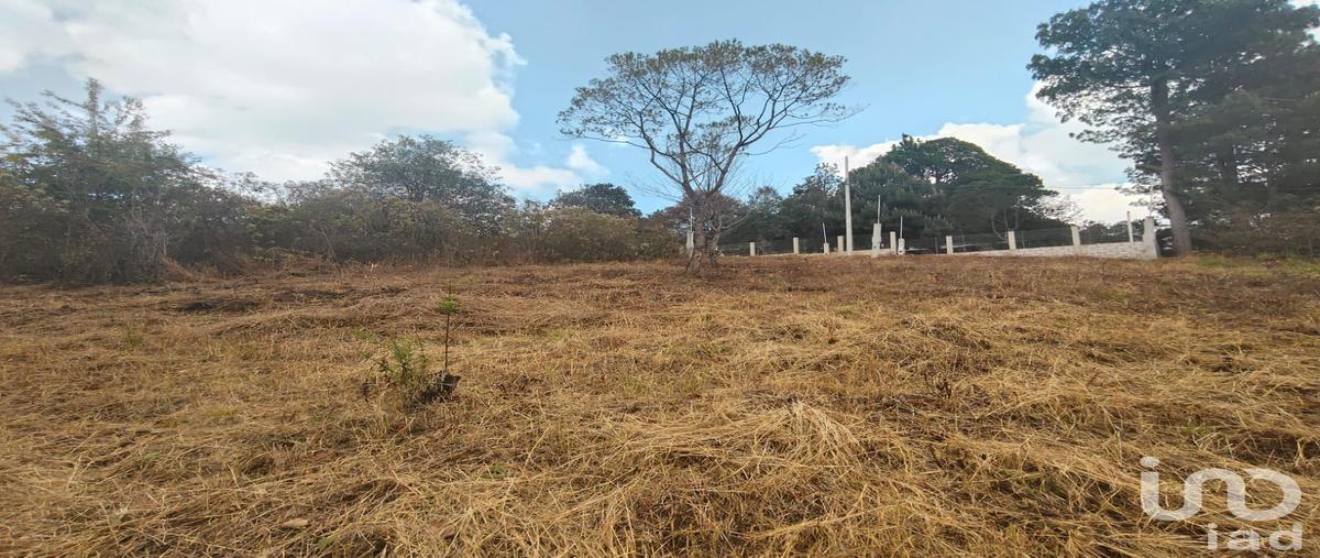 Foto de terreno habitacional en venta en innominada 60, zacualpan de ecatepec, san cristóbal de las casas, chiapas, 31061449 No. 03