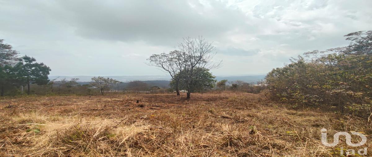 Foto de terreno habitacional en venta en innominada 60, zacualpan de ecatepec, san cristóbal de las casas, chiapas, 31061449 No. 04