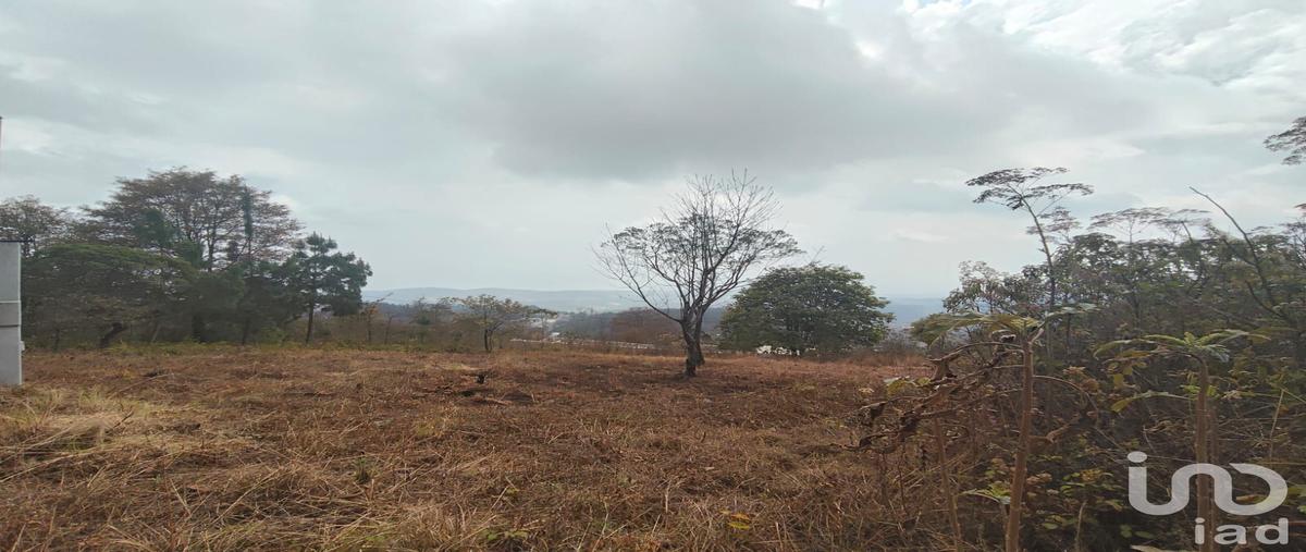 Foto de terreno habitacional en venta en innominada 60, zacualpan de ecatepec, san cristóbal de las casas, chiapas, 31061449 No. 05