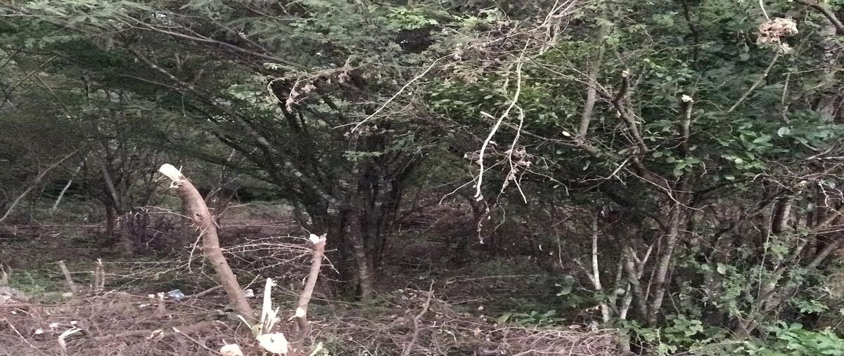 Foto de terreno habitacional en venta en innominada , campestre arenal, tuxtla gutiérrez, chiapas, 14496348 No. 06