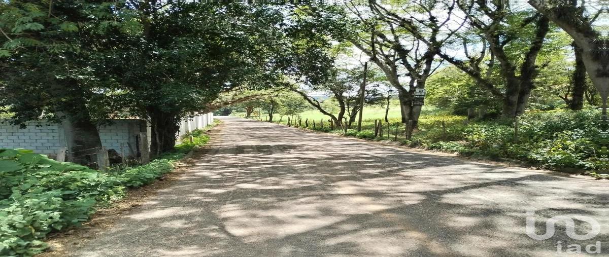 Foto de terreno habitacional en venta en innominada esquina con viva cardenas sn , don ventura, san fernando, chiapas, 30054449 No. 03