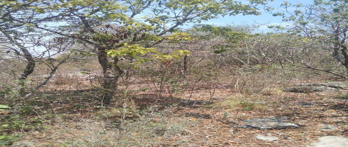 Foto de terreno habitacional en venta en innominada , lomas del sur, san cristóbal de las casas, chiapas, 29288891 No. 03