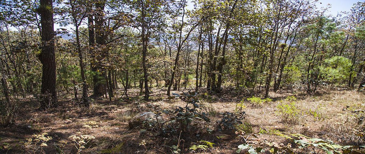 Foto de terreno habitacional en innominada , los alcanfores, san cristóbal de las casas, chiapas, 30588565 foto 03 Foto de terreno habitacional en venta en innominada , los alcanfores, san cristóbal de las casas, chiapas, 30588565 No. 03
