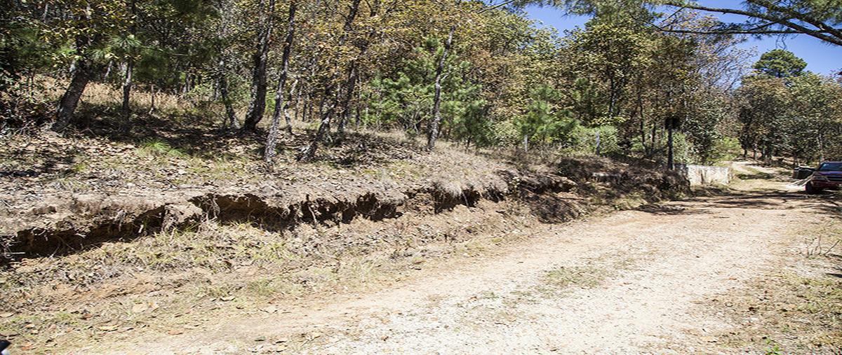 Foto de terreno habitacional en innominada , los alcanfores, san cristóbal de las casas, chiapas, 30588565 foto 05 Foto de terreno habitacional en venta en innominada , los alcanfores, san cristóbal de las casas, chiapas, 30588565 No. 05
