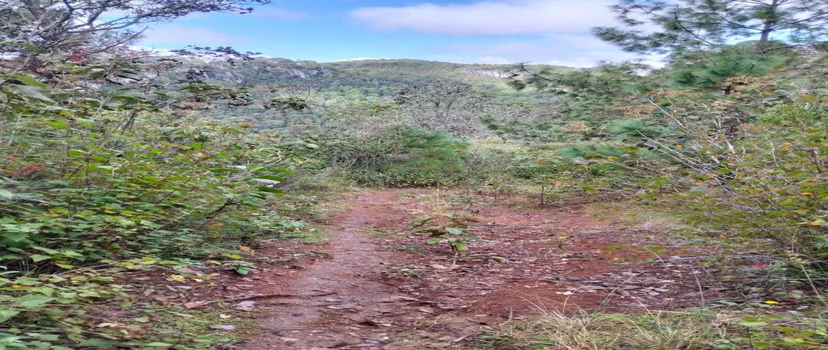 Foto de terreno habitacional en venta en innominada , maría auxiliadora, san cristóbal de las casas, chiapas, 0 No. 03