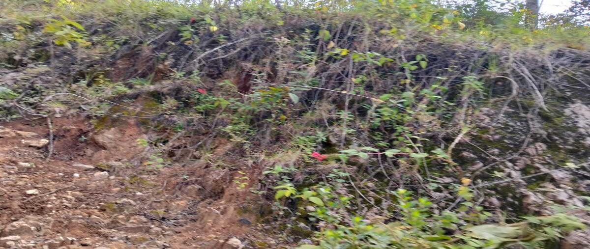 Foto de terreno habitacional en venta en innominada , maría auxiliadora, san cristóbal de las casas, chiapas, 0 No. 04