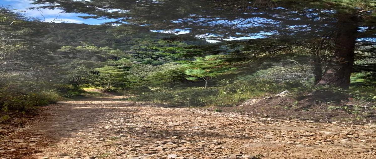 Foto de terreno habitacional en venta en innominada , maría auxiliadora, san cristóbal de las casas, chiapas, 0 No. 05