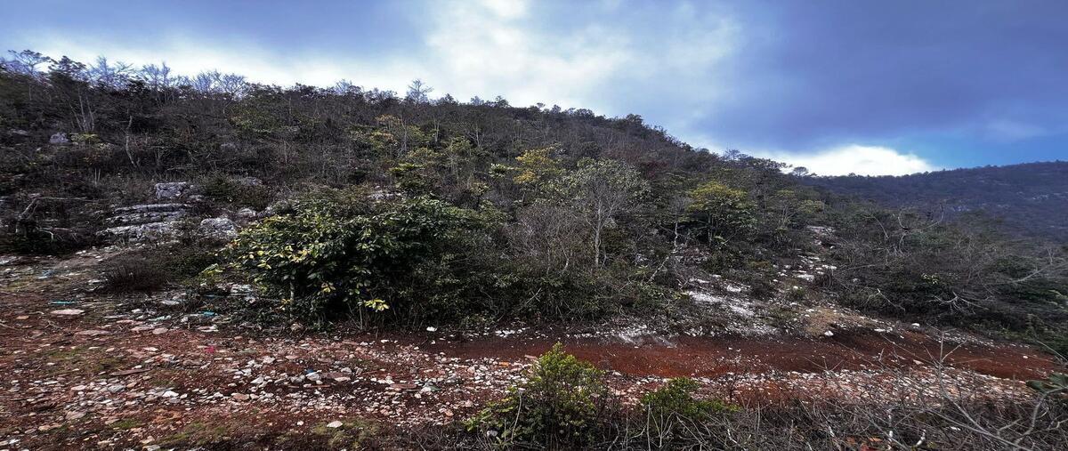 Foto de terreno habitacional en innominada , san josé buenavista, san cristóbal de las casas, chiapas, 0 foto 05 Foto de terreno habitacional en venta en innominada , san josé buenavista, san cristóbal de las casas, chiapas, 0 No. 05